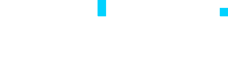 EDEM TECHNOLOGY